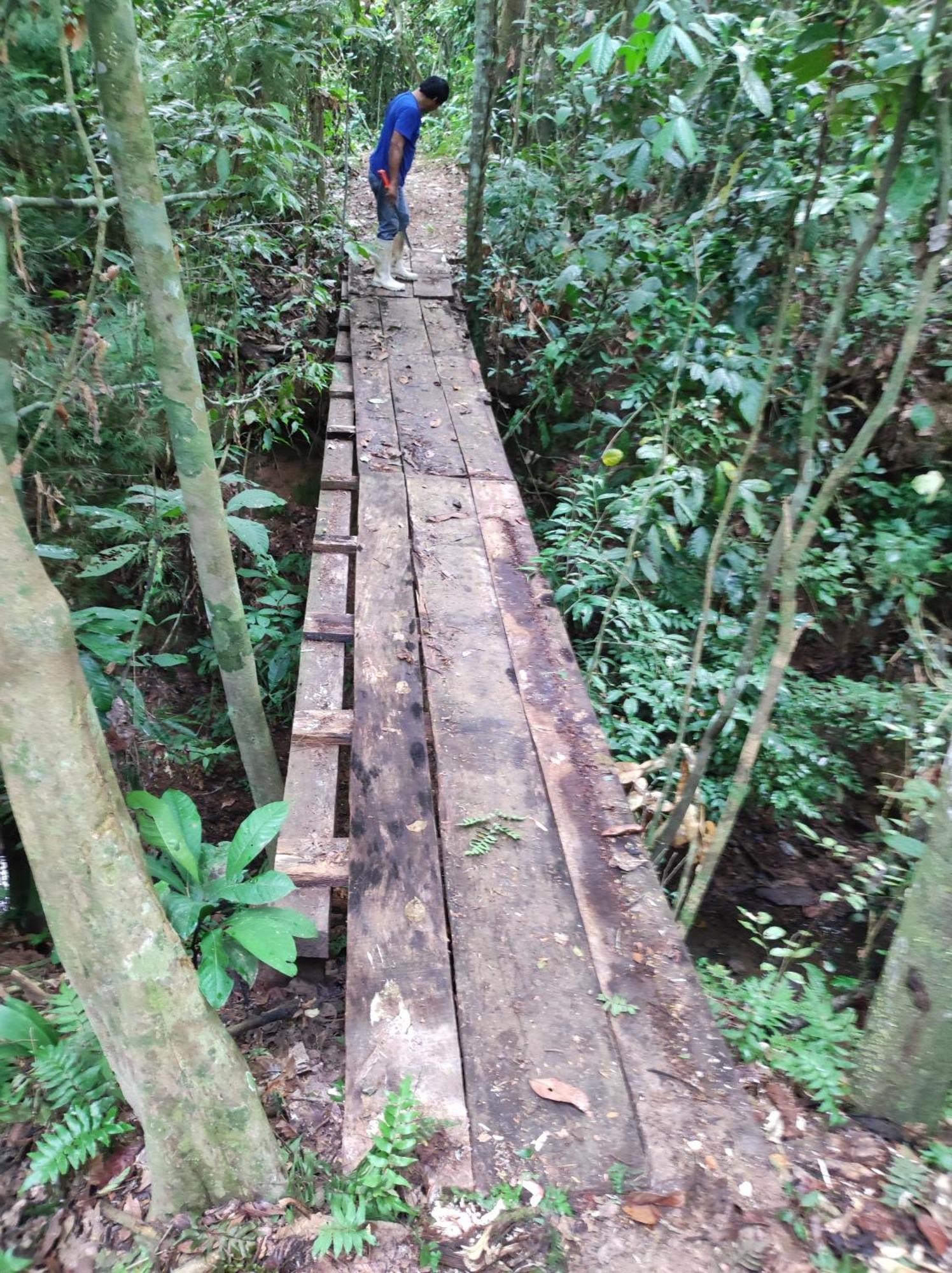 Castana Amazon Park Hostel Puerto Maldonado Ngoại thất bức ảnh