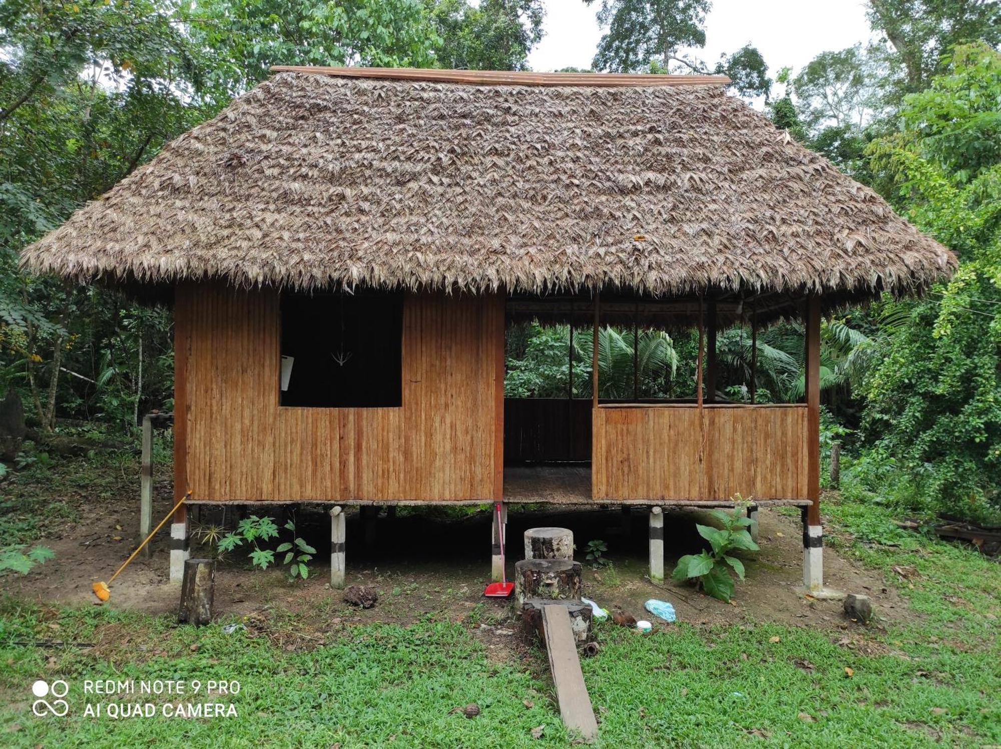 Castana Amazon Park Hostel Puerto Maldonado Ngoại thất bức ảnh