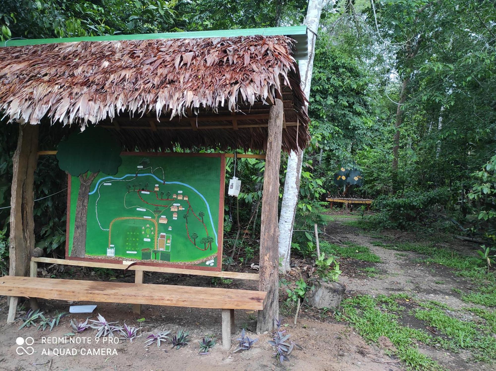Castana Amazon Park Hostel Puerto Maldonado Ngoại thất bức ảnh
